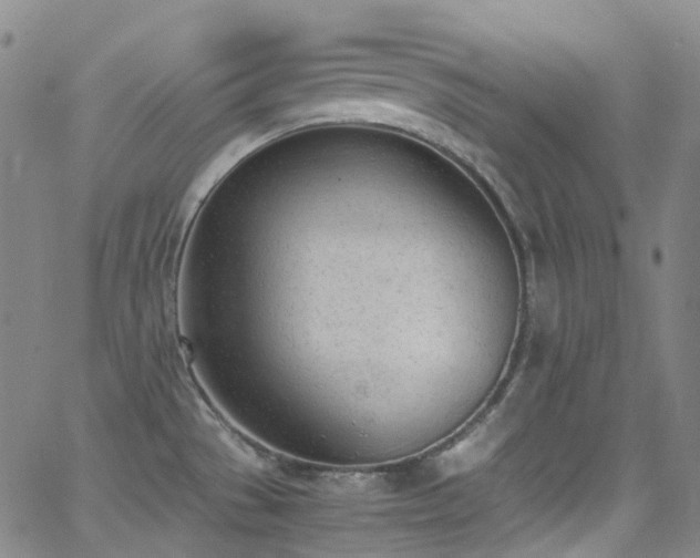 X0000062871529200601131428