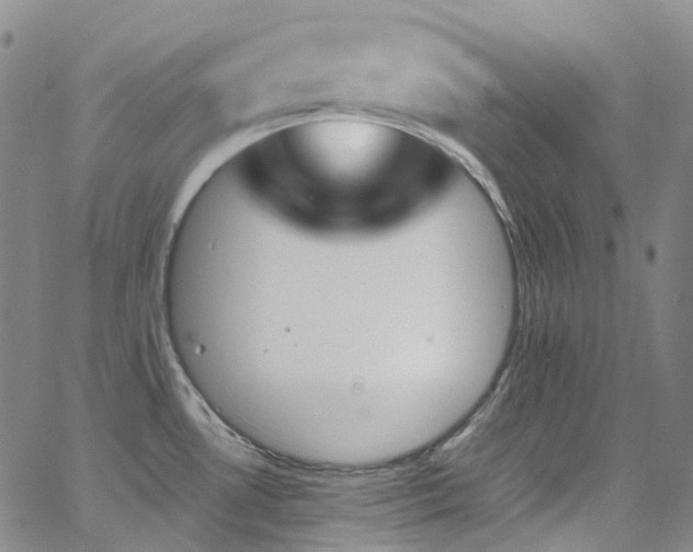 X0000062871530200601131428