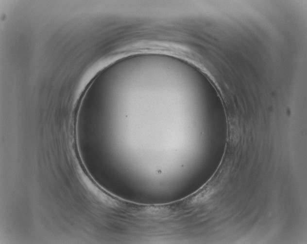 X0000062871531200601131428