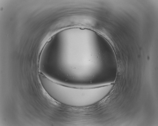 X0000062871532200601131428