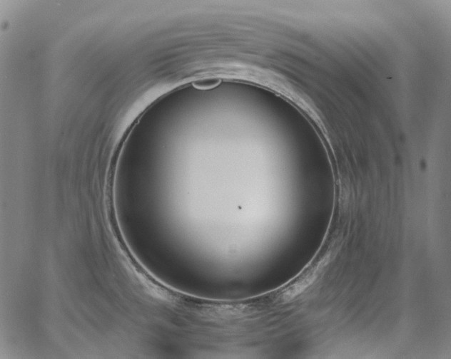 X0000062871533200601131428