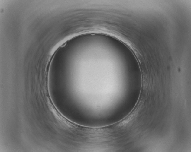 X0000062871534200601131428