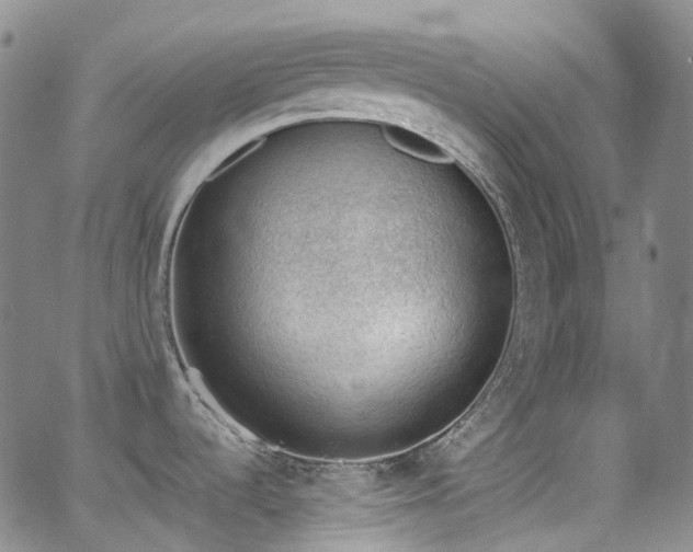 X0000062871536200601131428