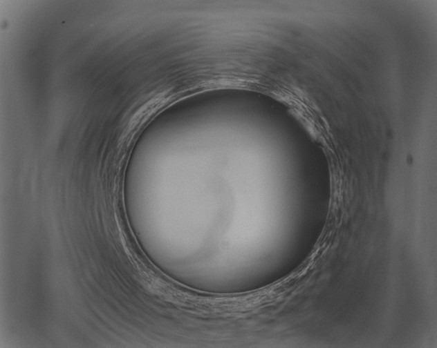 X0000062870001200601171433