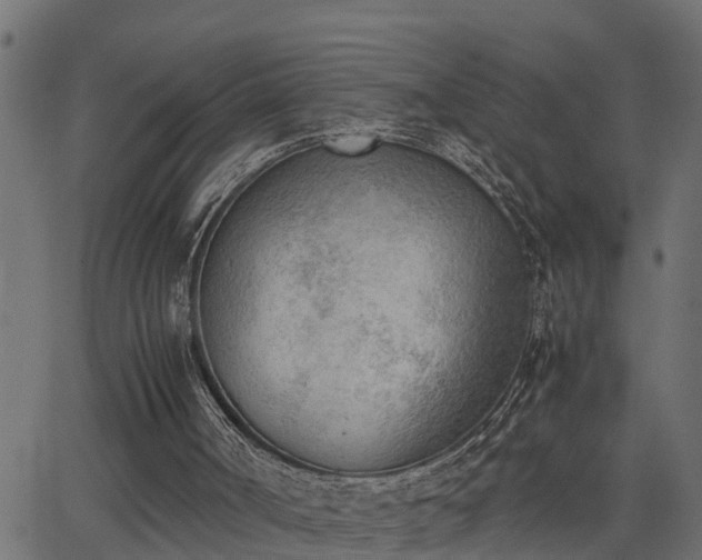 X0000062870002200601171433