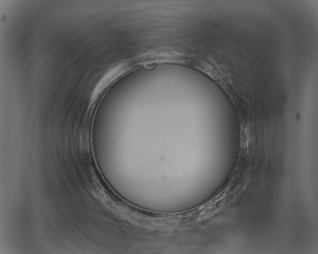 X0000062870004200601171433