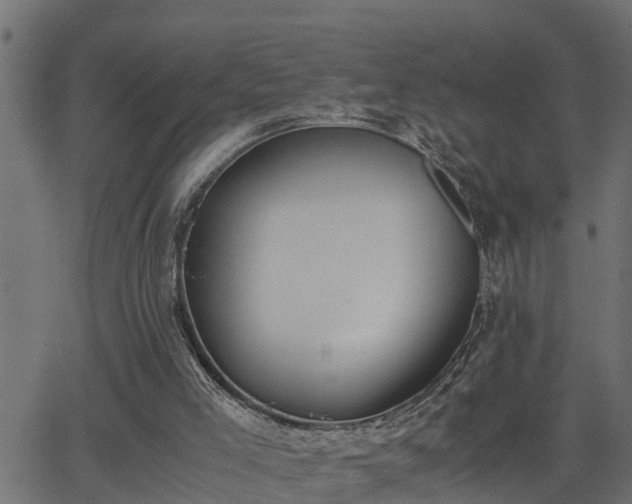 X0000062870005200601171433