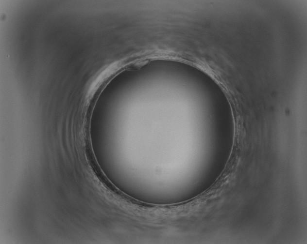 X0000062870007200601171433