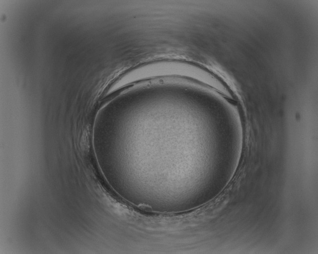 X0000062870009200601171433