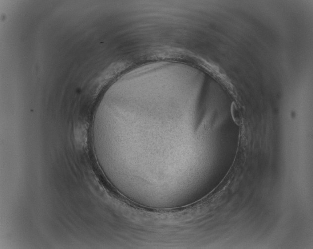 X0000062870010200601171433