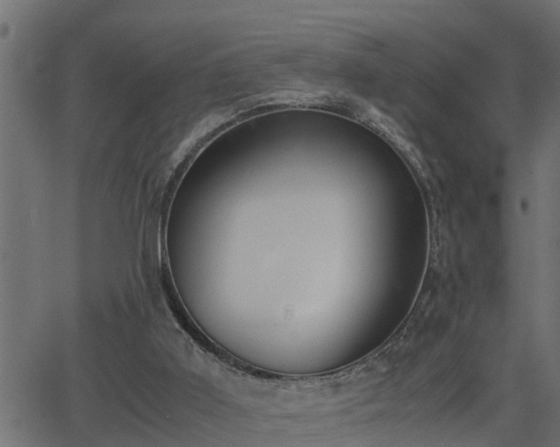 X0000062870011200601171433