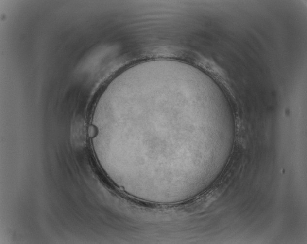 X0000062870012200601171433