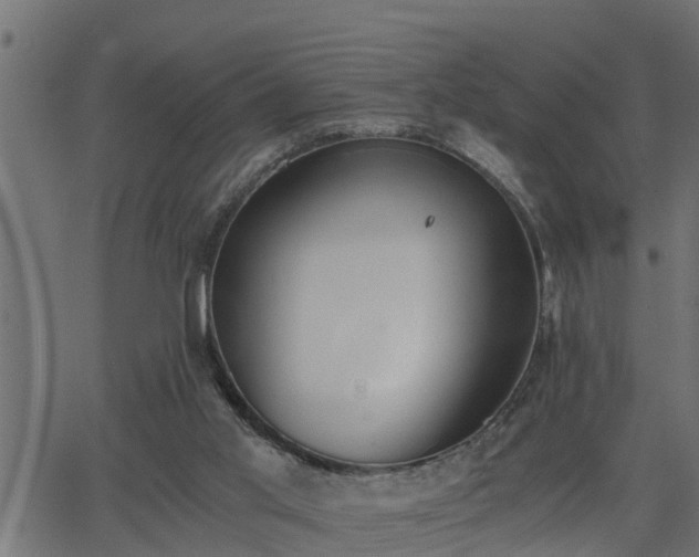 X0000062870013200601171433