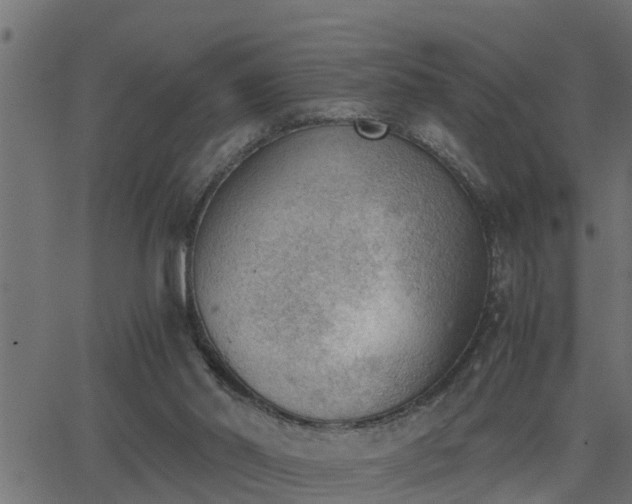 X0000062870014200601171433