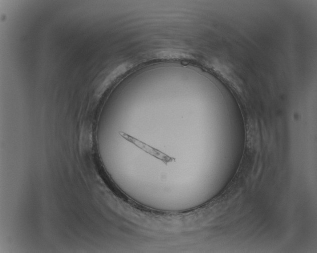 X0000062870015200601171433