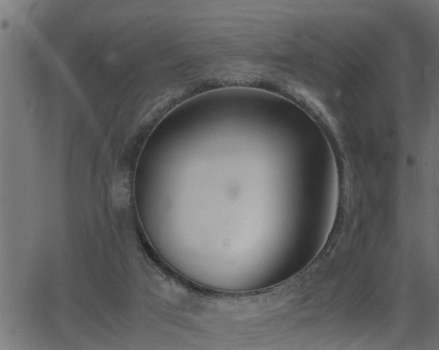 X0000062870017200601171433