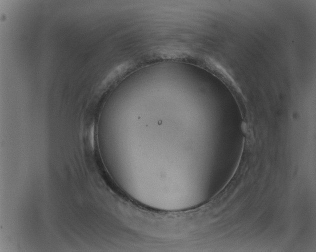 X0000062870019200601171433