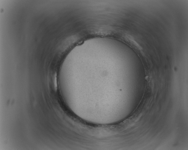 X0000062870020200601171433