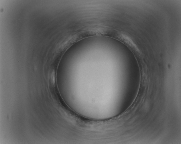 X0000062870021200601171433