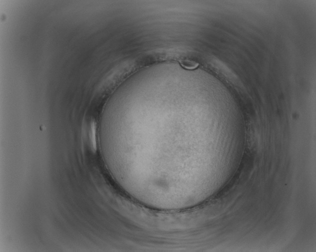 X0000062870022200601171433