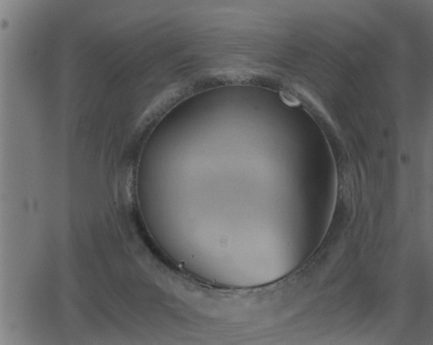 X0000062870023200601171433