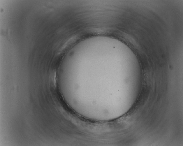 X0000062870024200601171433