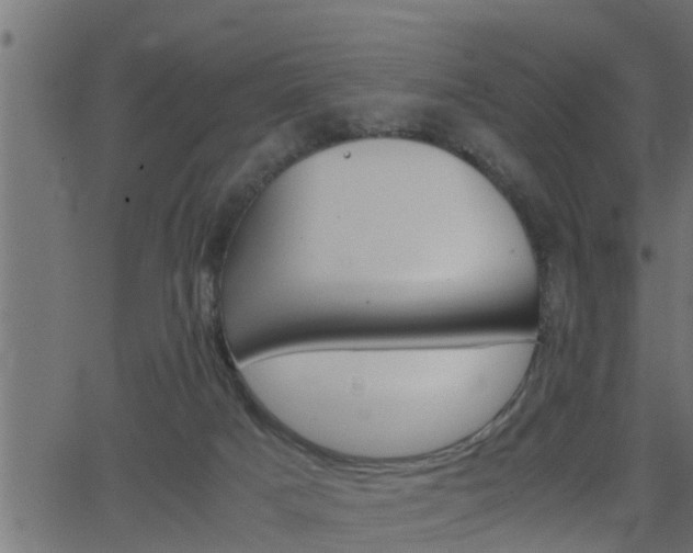 X0000062870025200601171433