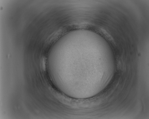 X0000062870026200601171433