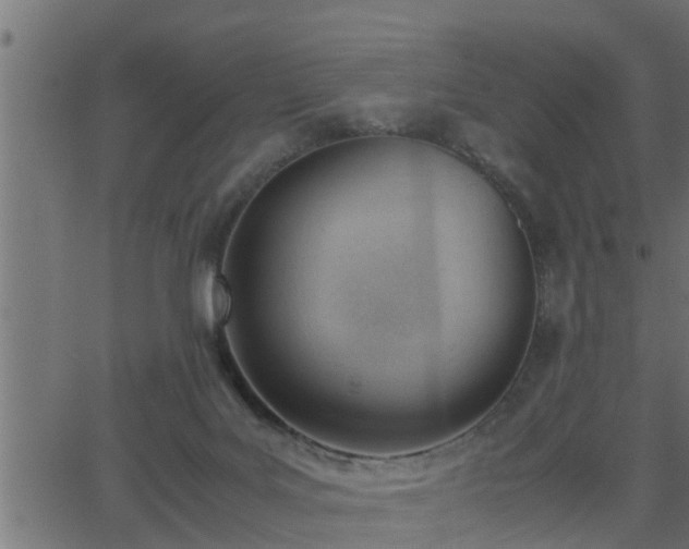 X0000062870027200601171433