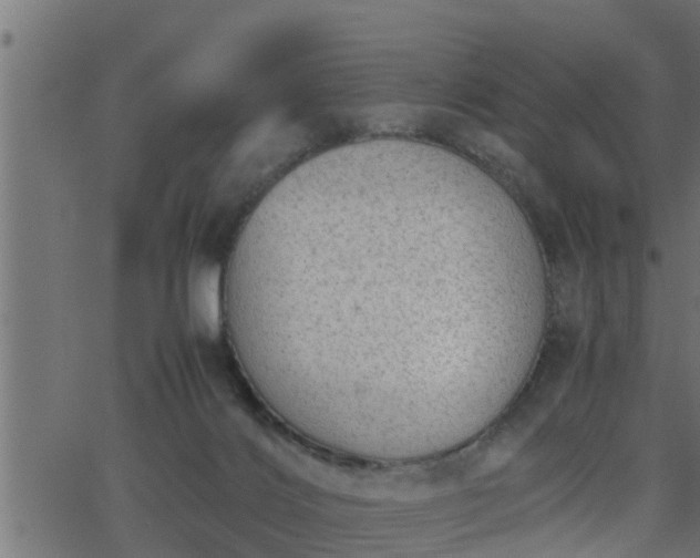 X0000062870028200601171433