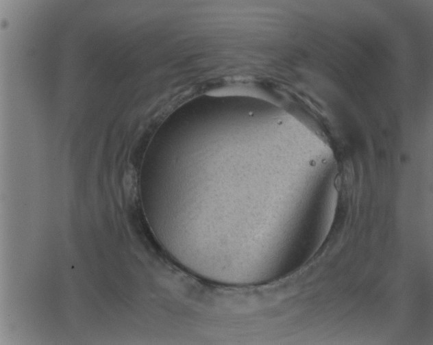 X0000062870029200601171433