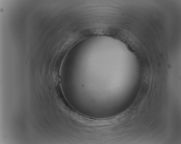 X0000062870031200601171433