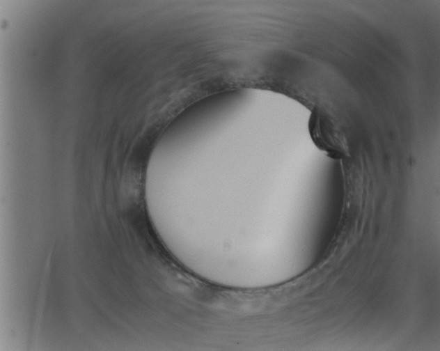 X0000062870033200601171433