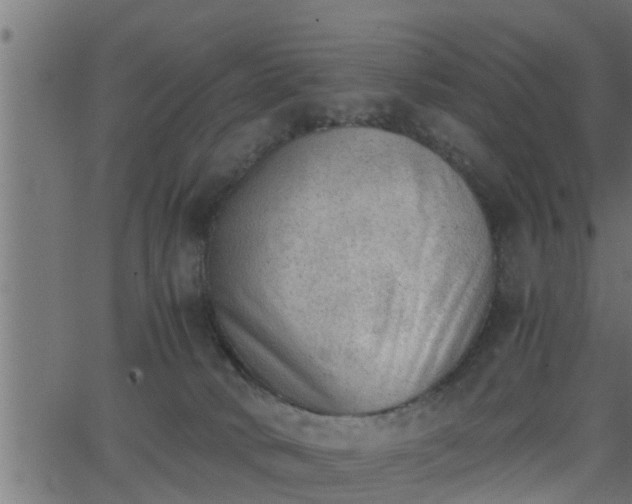 X0000062870034200601171433