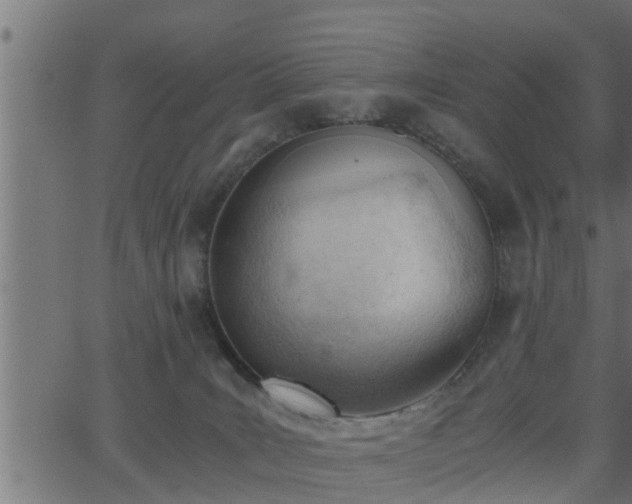 X0000062870035200601171433