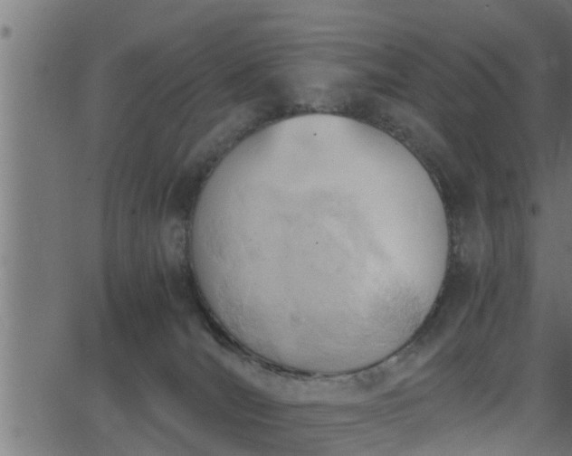 X0000062870036200601171433