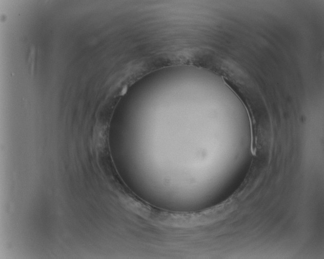 X0000062870037200601171433