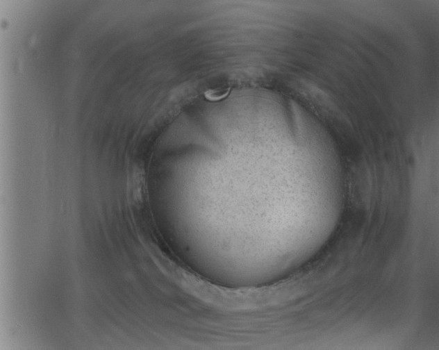 X0000062870038200601171433