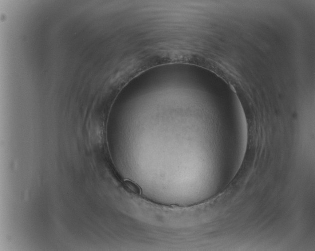 X0000062870039200601171433