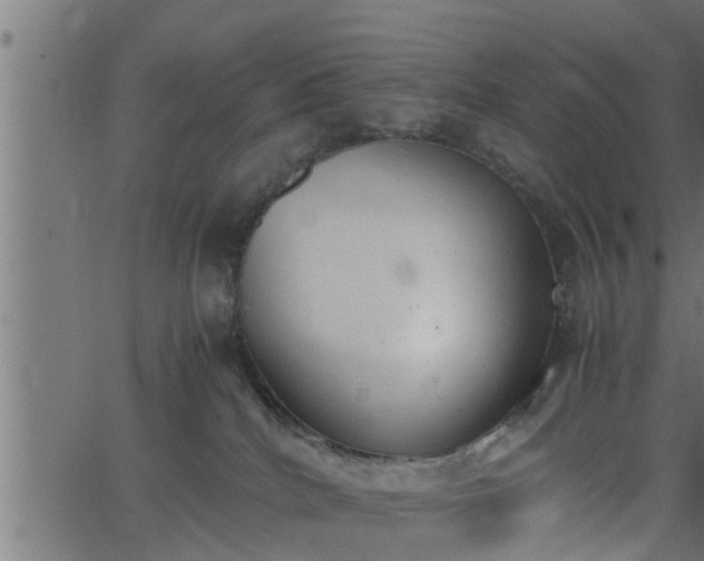 X0000062870040200601171433