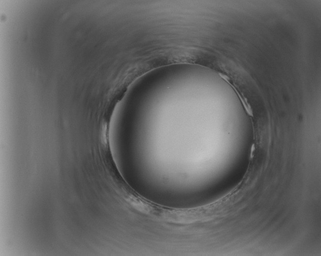 X0000062870041200601171433