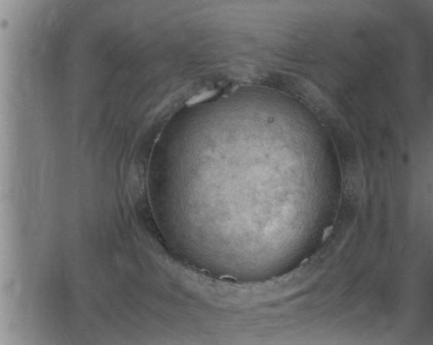 X0000062870043200601171433