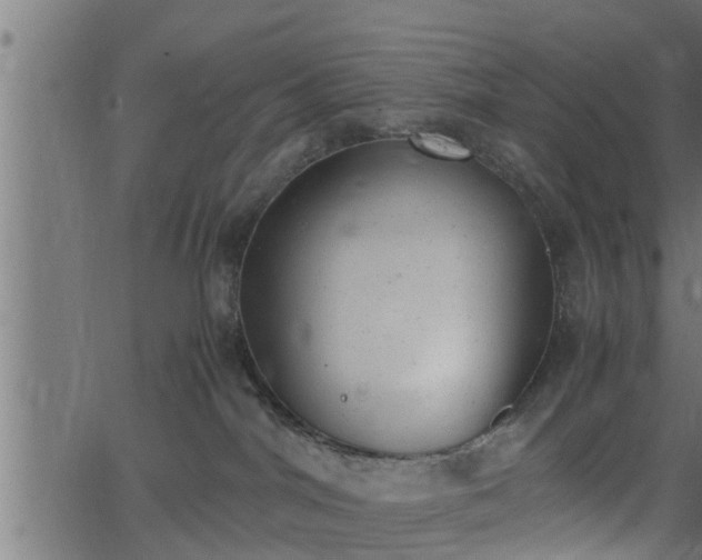 X0000062870044200601171433