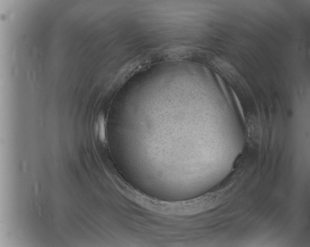 X0000062870046200601171433