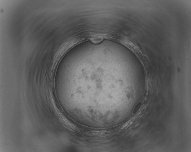 X0000062870049200601171432