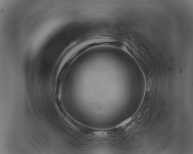 X0000062870052200601171432