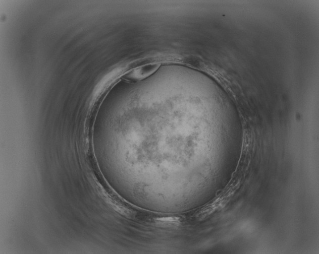 X0000062870053200601171432