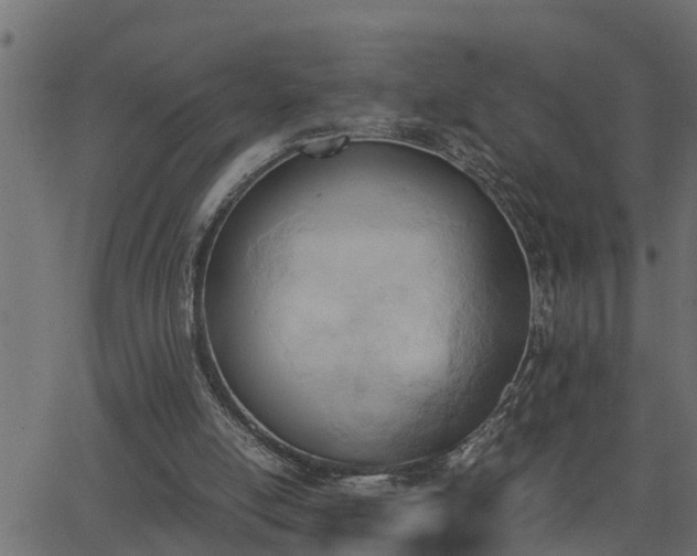 X0000062870054200601171432