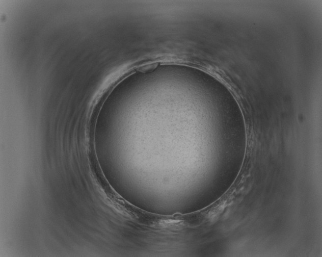 X0000062870055200601171432