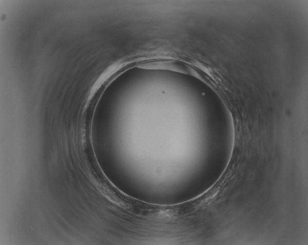 X0000062870056200601171432